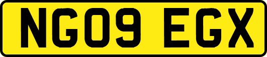 NG09EGX