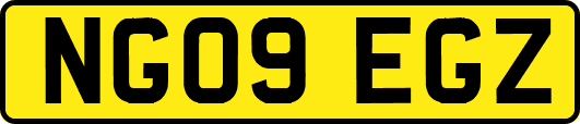 NG09EGZ