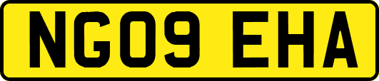 NG09EHA