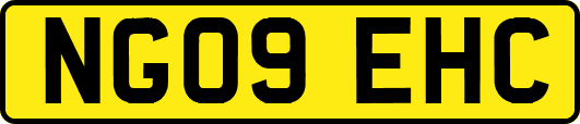 NG09EHC