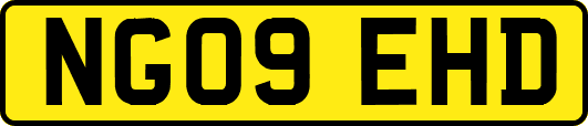 NG09EHD