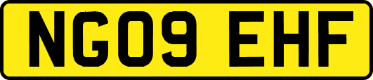 NG09EHF