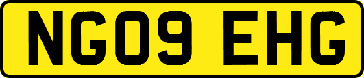 NG09EHG