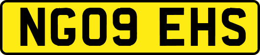 NG09EHS