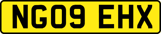 NG09EHX