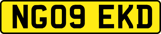 NG09EKD
