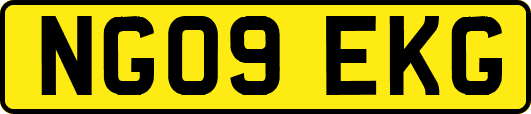 NG09EKG