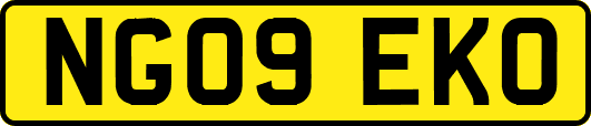 NG09EKO