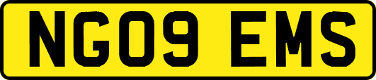 NG09EMS