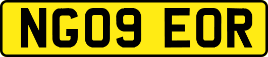 NG09EOR