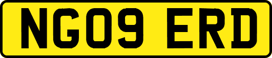 NG09ERD