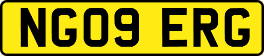 NG09ERG