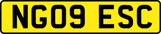 NG09ESC