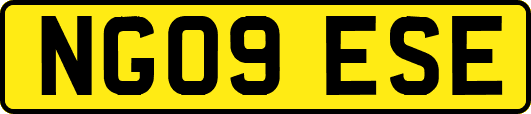 NG09ESE