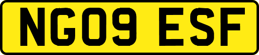 NG09ESF