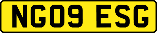 NG09ESG