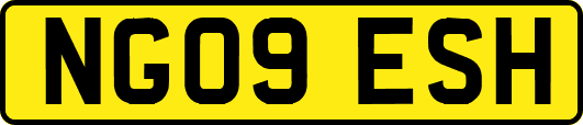 NG09ESH