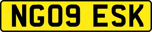 NG09ESK