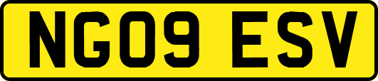 NG09ESV