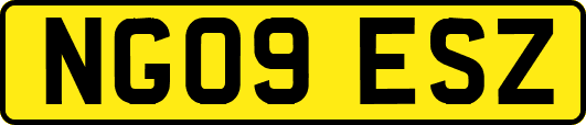 NG09ESZ