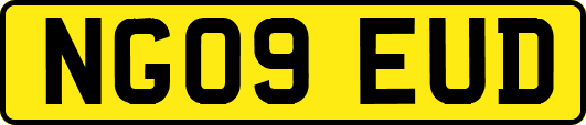 NG09EUD