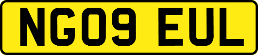 NG09EUL