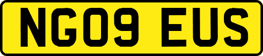 NG09EUS