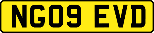 NG09EVD