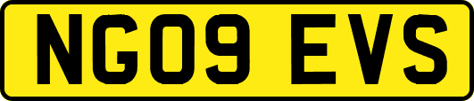 NG09EVS