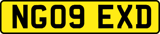 NG09EXD