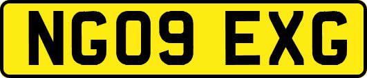NG09EXG