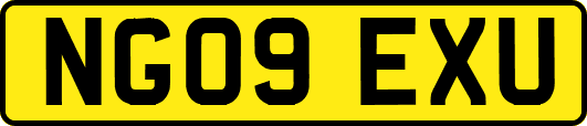 NG09EXU