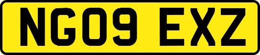 NG09EXZ