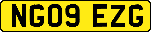 NG09EZG