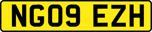 NG09EZH