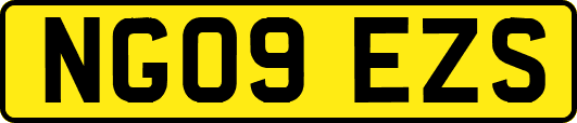 NG09EZS