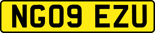 NG09EZU