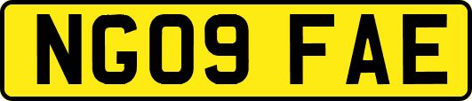 NG09FAE