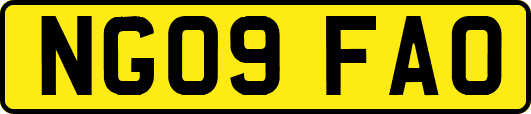 NG09FAO