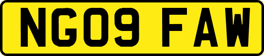 NG09FAW