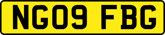NG09FBG