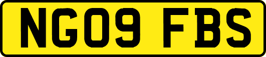 NG09FBS
