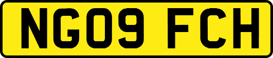 NG09FCH