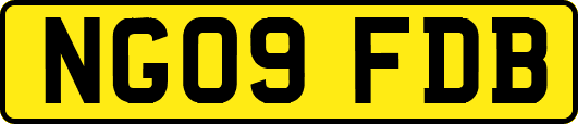 NG09FDB
