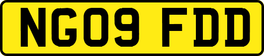 NG09FDD