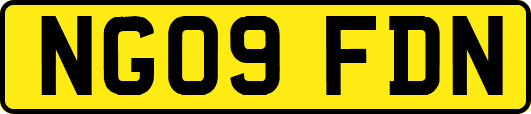 NG09FDN