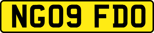 NG09FDO