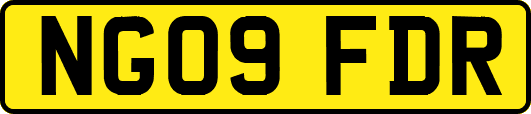NG09FDR
