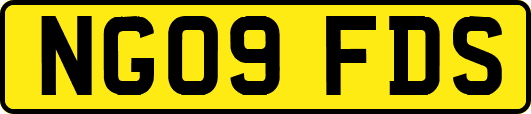 NG09FDS