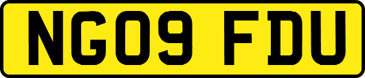 NG09FDU